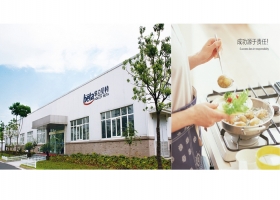 华立贝特燃气表设计