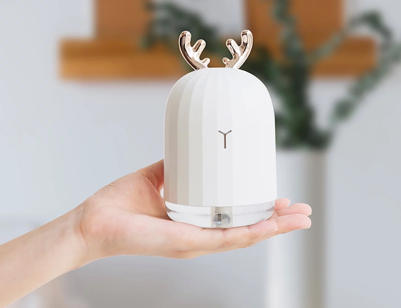 åæï¼å°å®¶çµï¼å®¶çµäº§åï¼å&nbsp;æ¹¿å¨ï¼