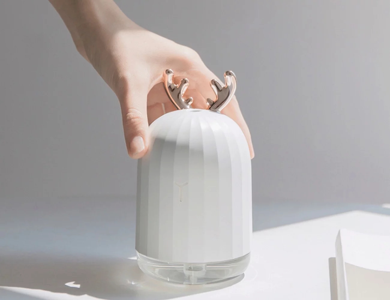 åæï¼å°å®¶çµï¼å®¶çµäº§åï¼å&nbsp;æ¹¿å¨ï¼