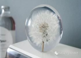 蒲公英天气预测器