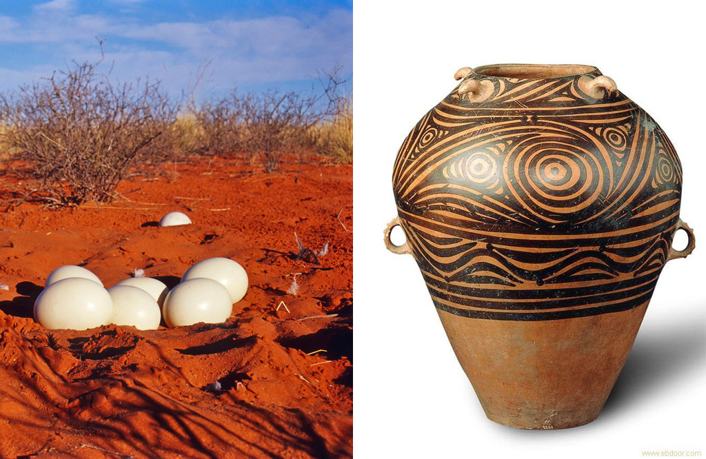 图片6.png 图片6.png