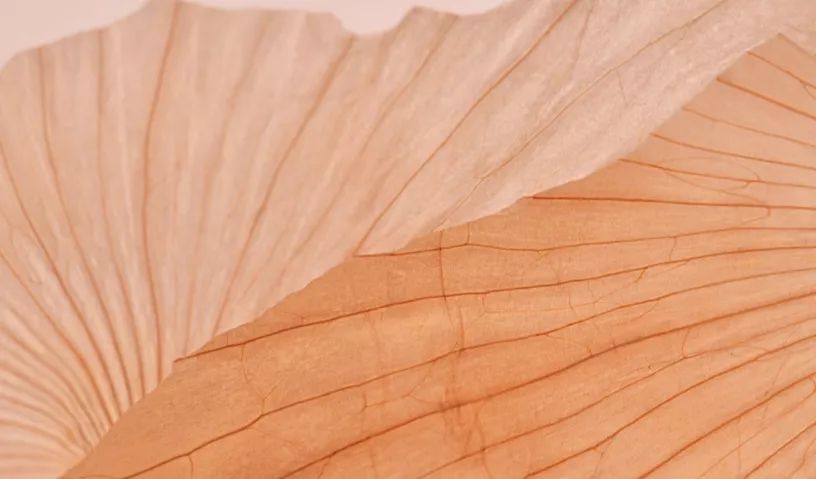 0105e15d020586a801213ec281d916.jpg 0105e15d020586a801213ec281d916.jpg