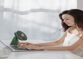 向物桌面风扇-雨林