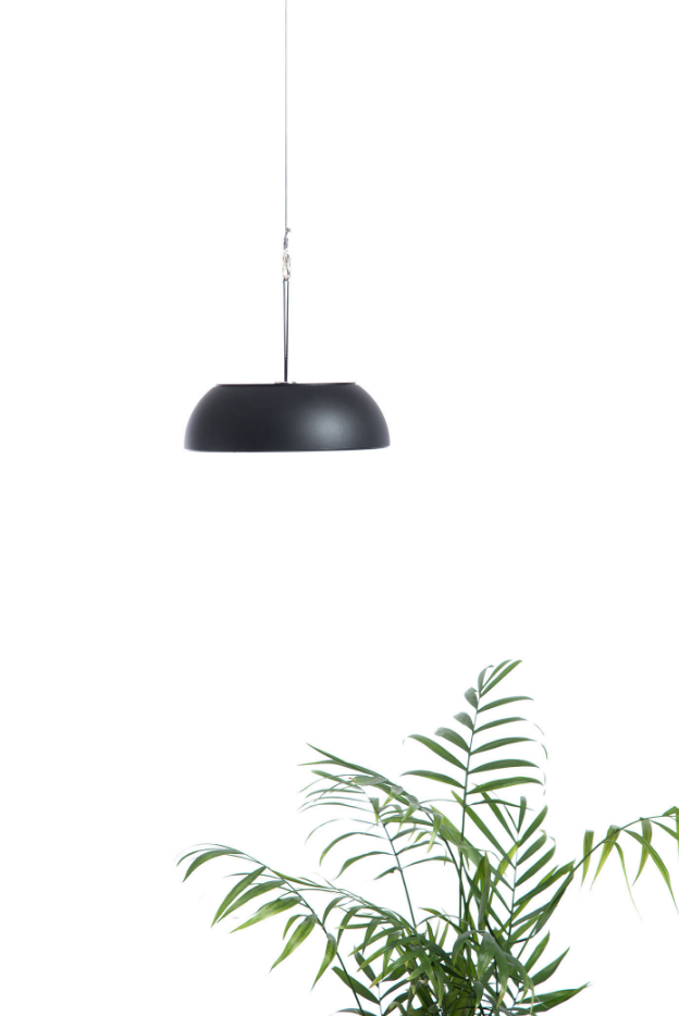 1593435118(1).jpg 1593435118(1).jpg