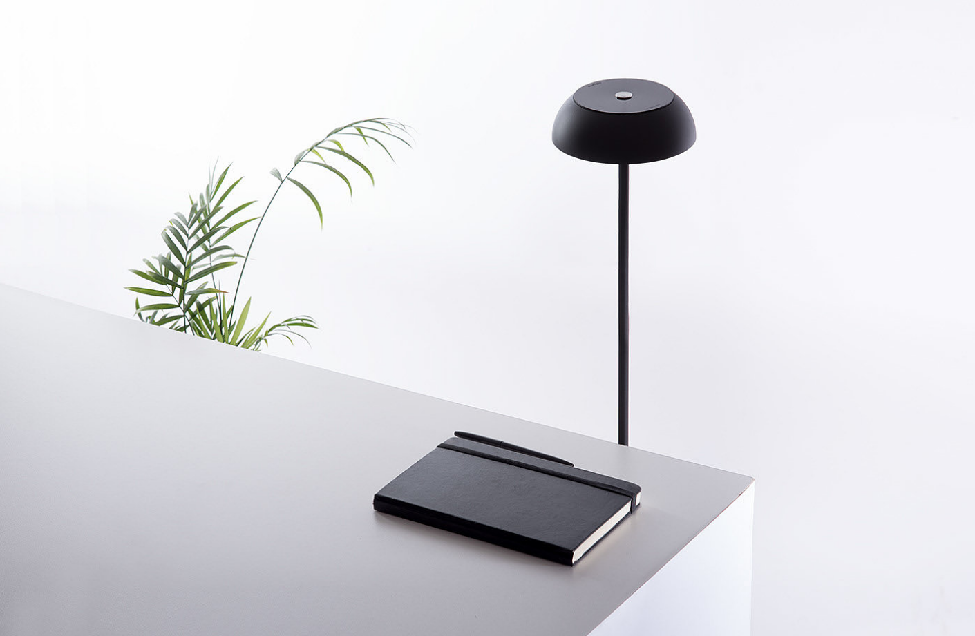 1593435155(1).jpg 1593435155(1).jpg