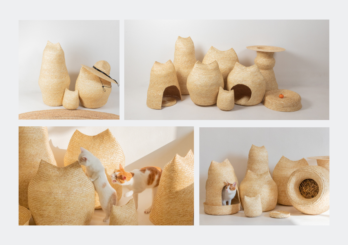 fafEfSK3kp36G6KDd6rf.jpg fafEfSK3kp36G6KDd6rf.jpg