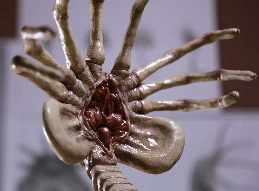 017b8d5c63dcfca801213f26afc2b7.jpg 017b8d5c63dcfca801213f26afc2b7.jpg