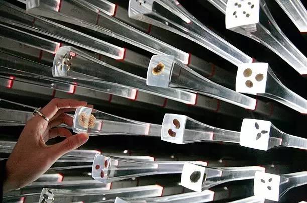 f058ab721d334b2487610429b74b943a_th.jpg f058ab721d334b2487610429b74b943a_th.jpg