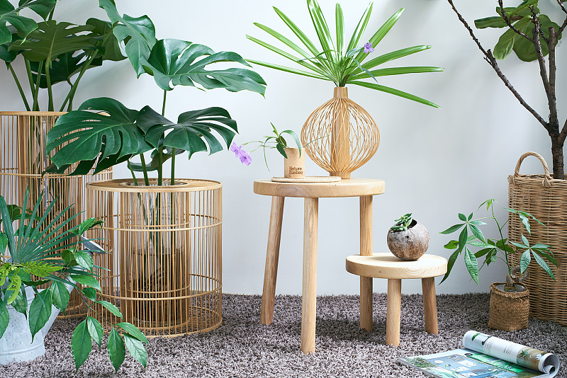 02ab00594c6f4da8012193a34c89e0.jpg@800w_1l_2o_100sh.jpg 02ab00594c6f4da8012193a34c89e0.jpg@800w_1l_2o_100sh.jpg