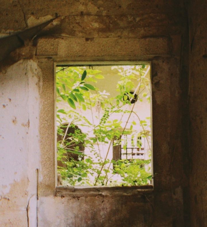 v2-20f3030eb5846bd11044d7a08e47de98_720w.jpg v2-20f3030eb5846bd11044d7a08e47de98_720w.jpg