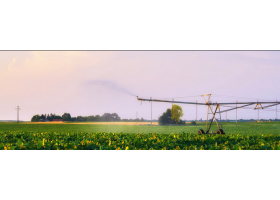 Sustainable family garden