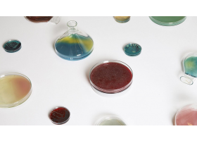 Jan Klingler的细菌灯设计，绝对让您大吃一惊