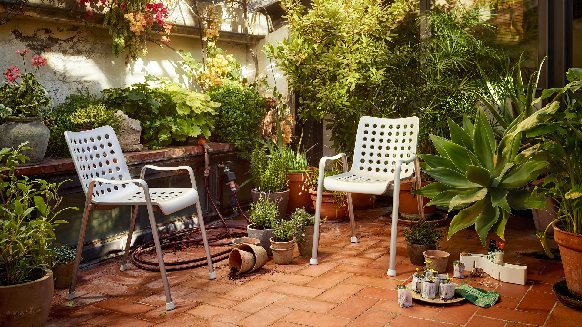 29888971.jpg 29888971.jpg