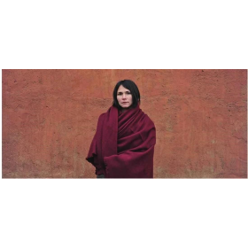 一根牛毛的时尚之旅/益西德成