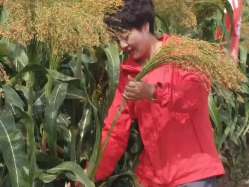 d78b12409c6fde2608a91069a1efe614.jpg d78b12409c6fde2608a91069a1efe614.jpg