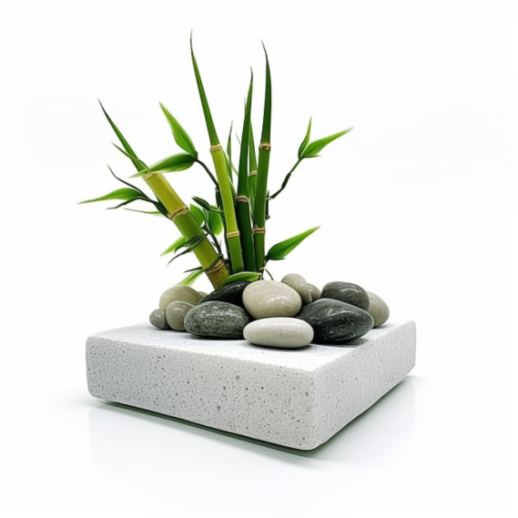 topidchen_White_background_lucky_bamboo_Microlandscape_Stone_ba_573354c3-16fb-423a-bd5c-fef93d81559d.png