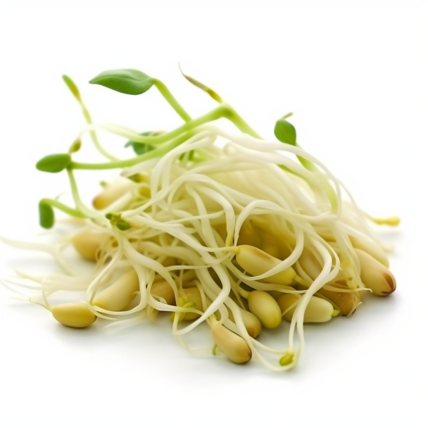 topidchen_White_background_Bean_sprout_adcd6c87-a3b6-4c1d-9bb6-aac7178db1e1.png