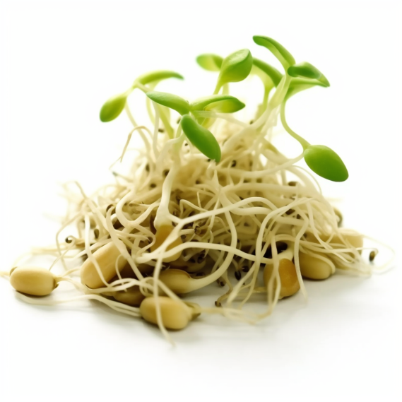 topidchen_White_background_Bean_sprout_bb1201a2-9031-4efc-a10a-6d56644f0dfb.png