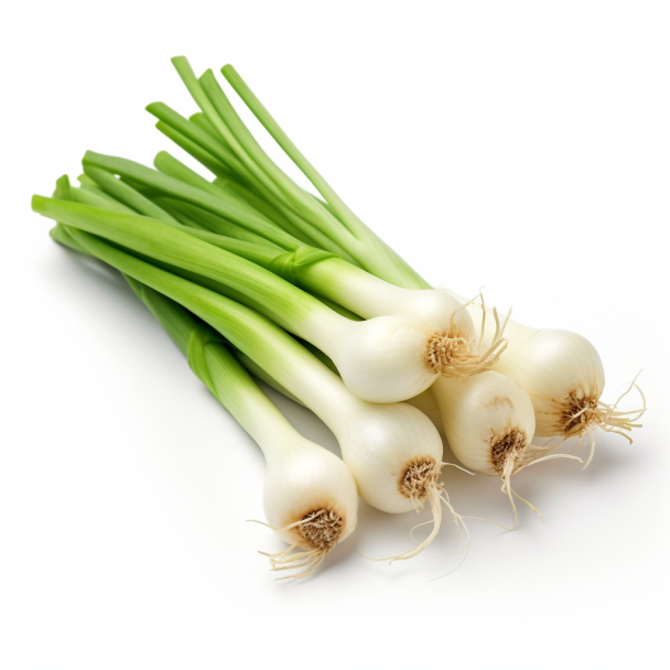 topidchen_White_background_scallion_38bbd574-0e99-4838-9dad-f7d67108167b.png