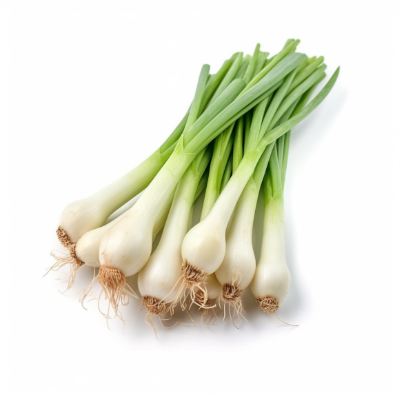 topidchen_White_background_scallion_95f5d0bf-acda-443e-a8c6-0a1fe38cebef.png