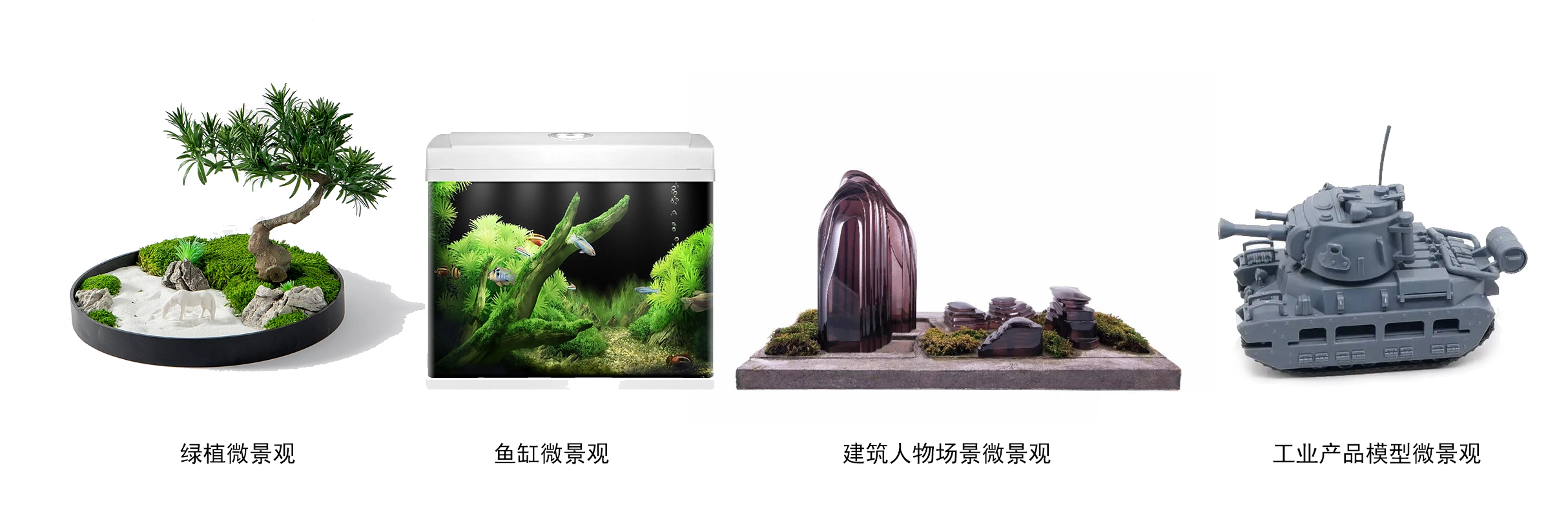 微景观种类.png 微景观种类.png