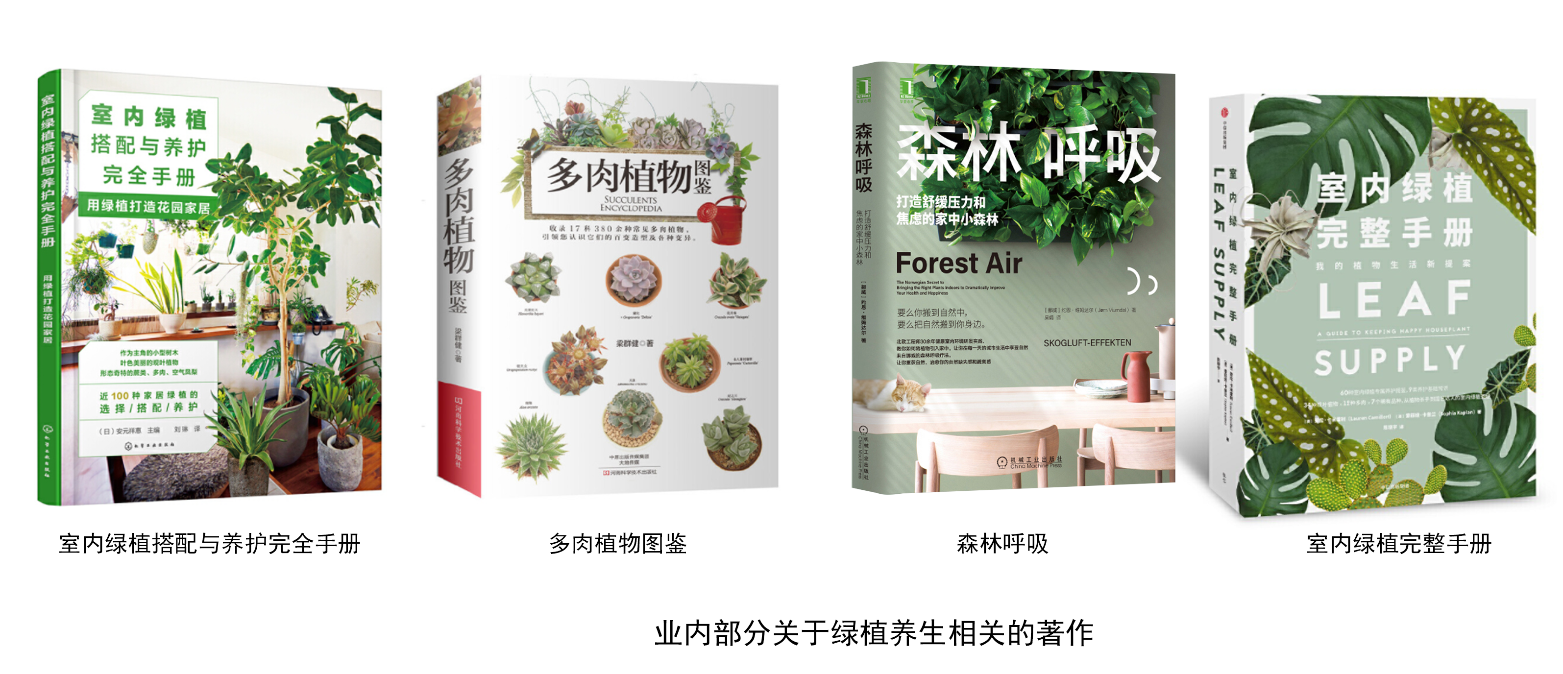 业内部分关于绿植养生相关的著作.png
