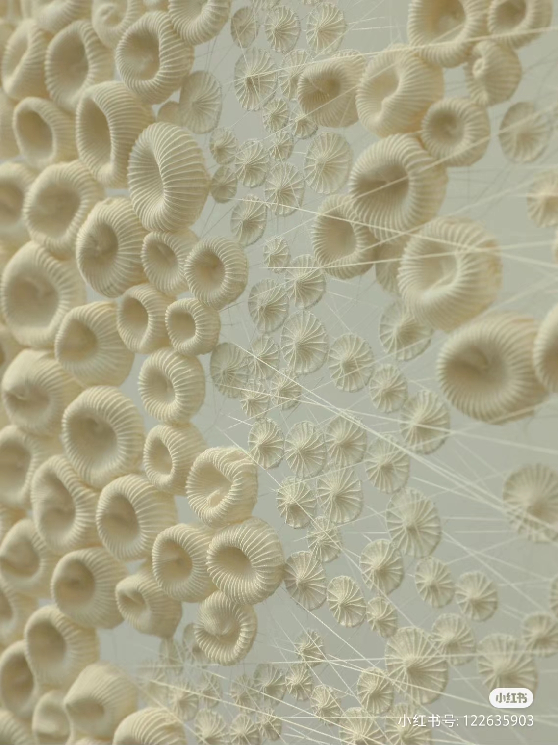 微信图片_20230906101321.jpg 微信图片_20230906101321.jpg