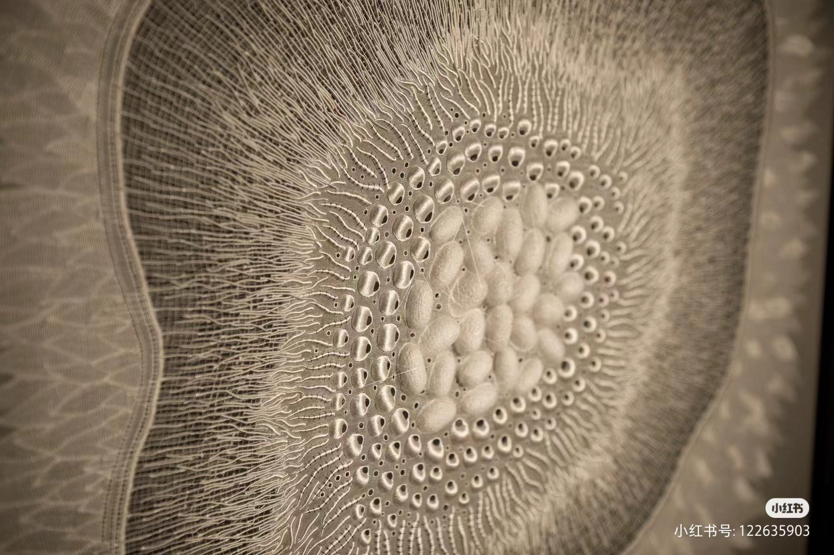 微信图片_20230906101307.jpg 微信图片_20230906101307.jpg