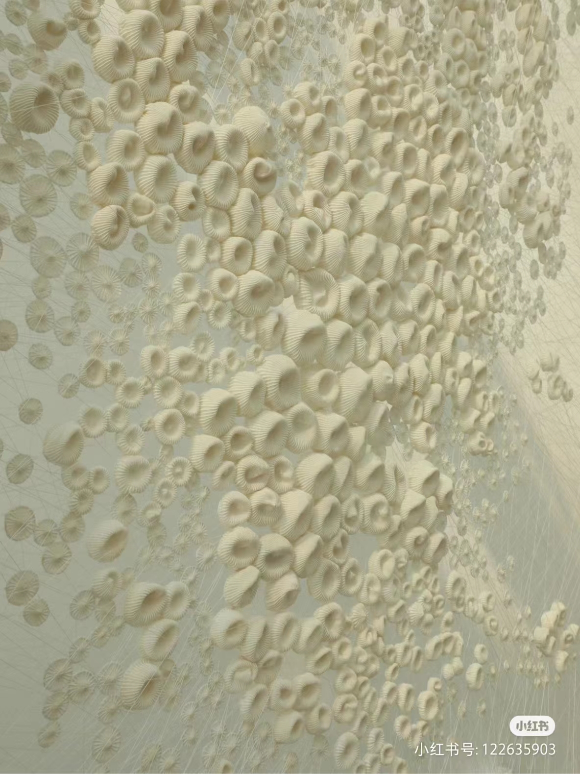 微信图片_20230906101320.jpg 微信图片_20230906101320.jpg