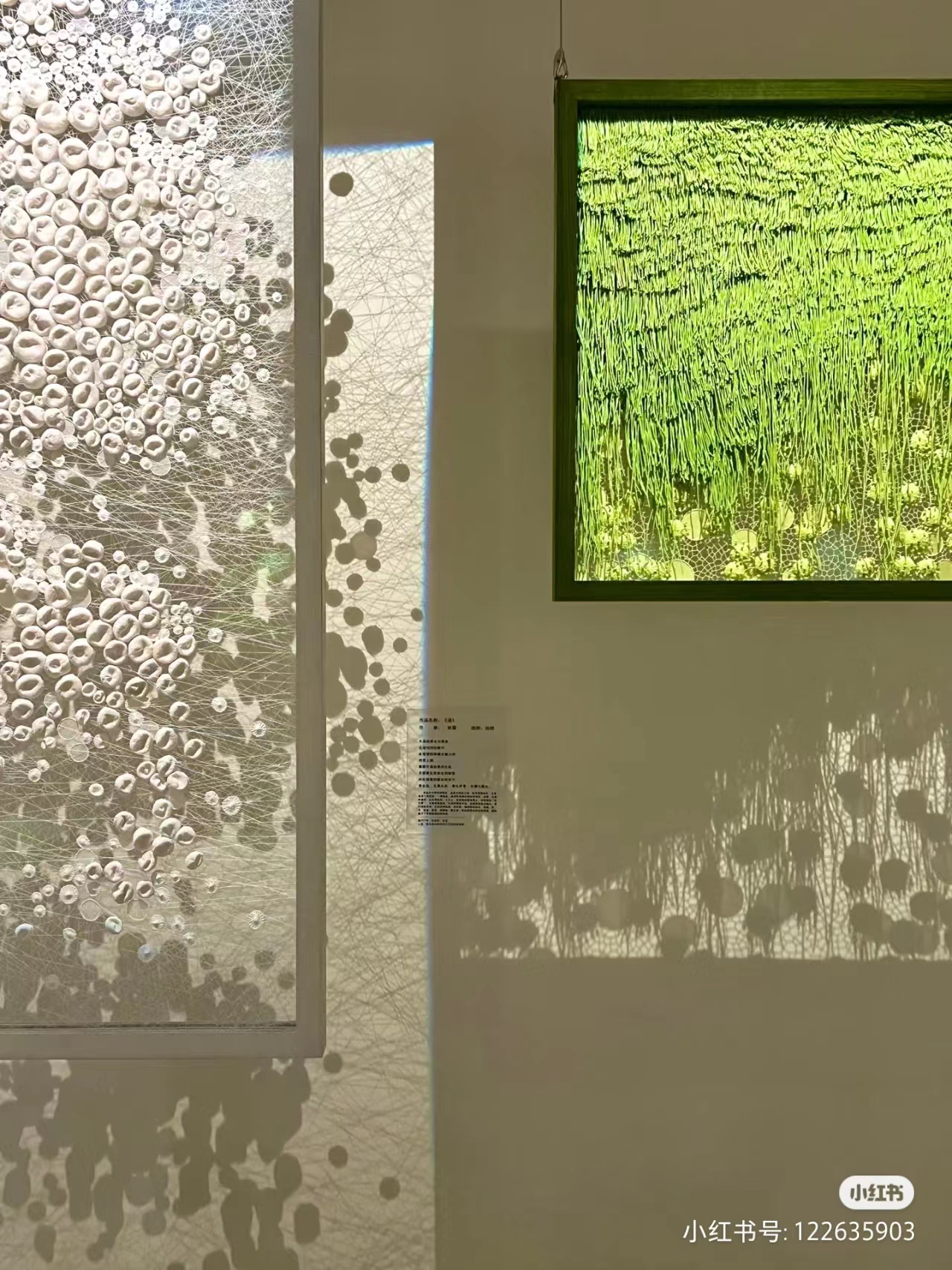 微信图片_20230906101311.jpg 微信图片_20230906101311.jpg