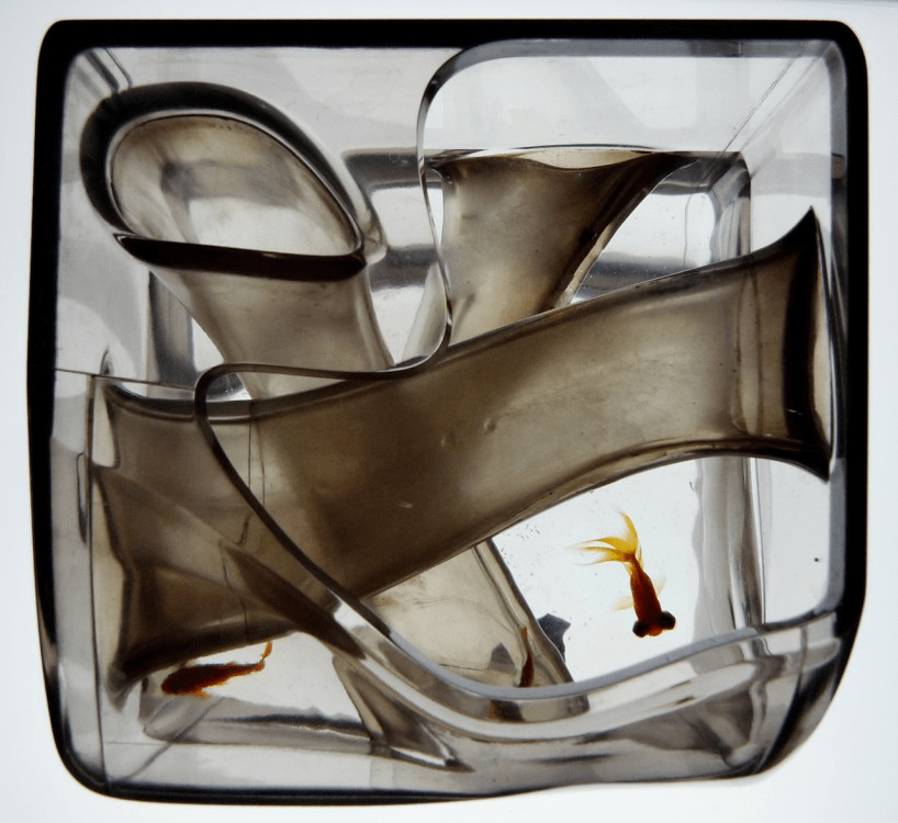 3d0ea510c4874c4280c404e07683e580.png 3d0ea510c4874c4280c404e07683e580.png