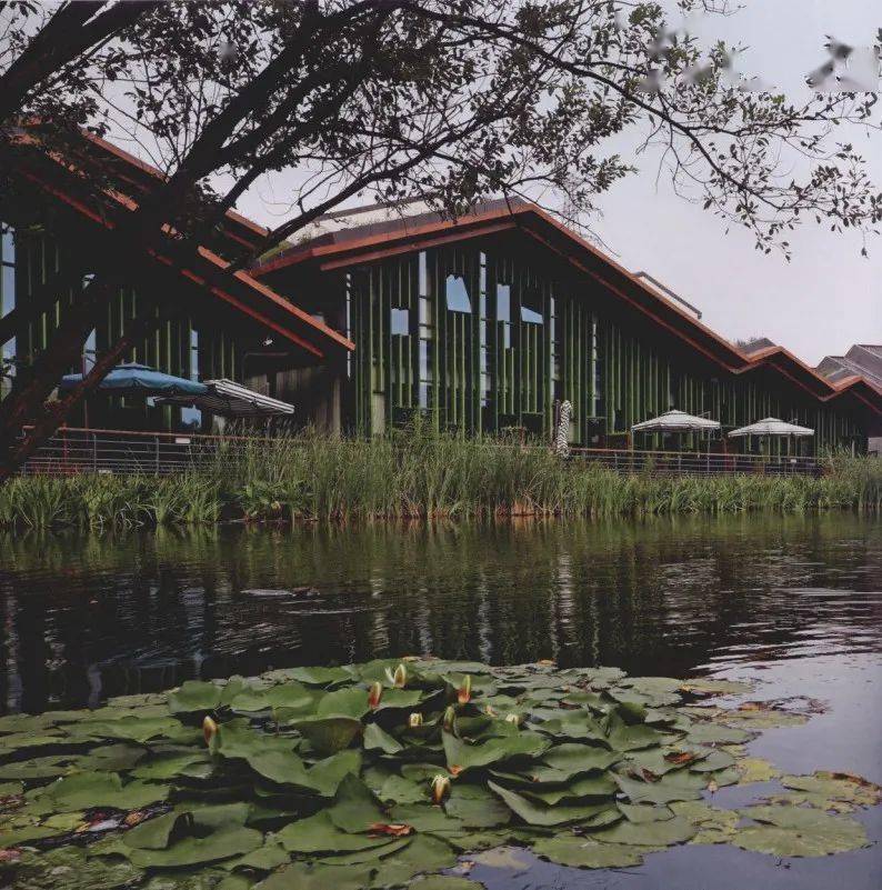 7ef83d4460884c08b61f6241fa148e83.jpeg 7ef83d4460884c08b61f6241fa148e83.jpeg