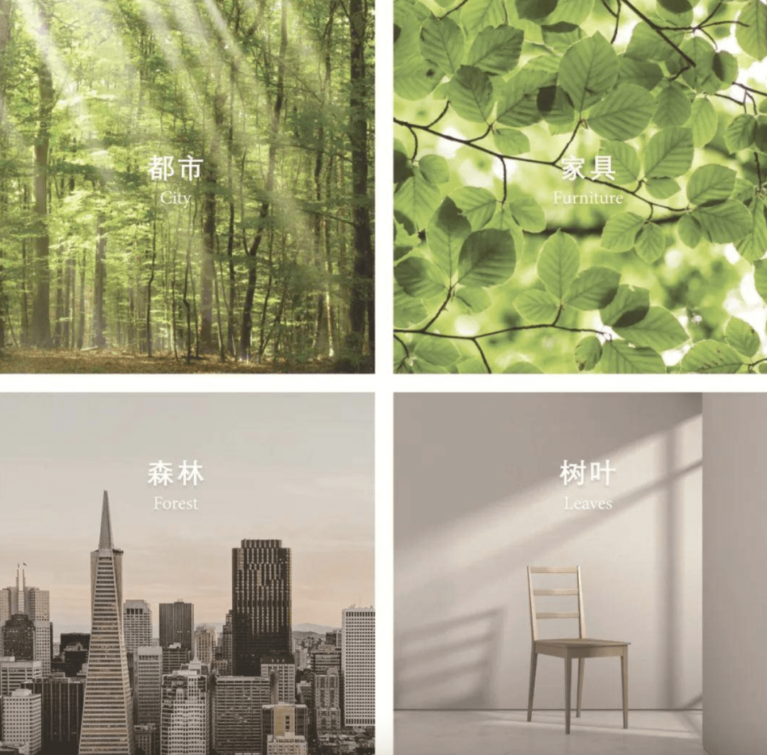 049c380ac5d14c6287b1d7edbff2644a.png 049c380ac5d14c6287b1d7edbff2644a.png