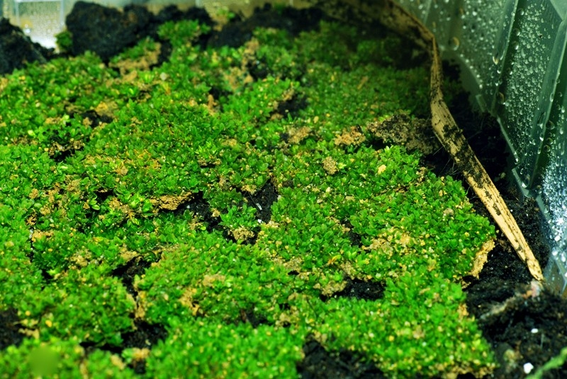 微信图片_20231122015538.png 微信图片_20231122015538.png