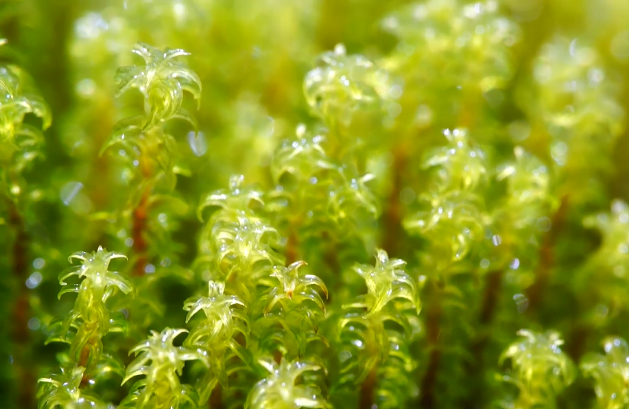 微信图片_20231122021612.png 微信图片_20231122021612.png