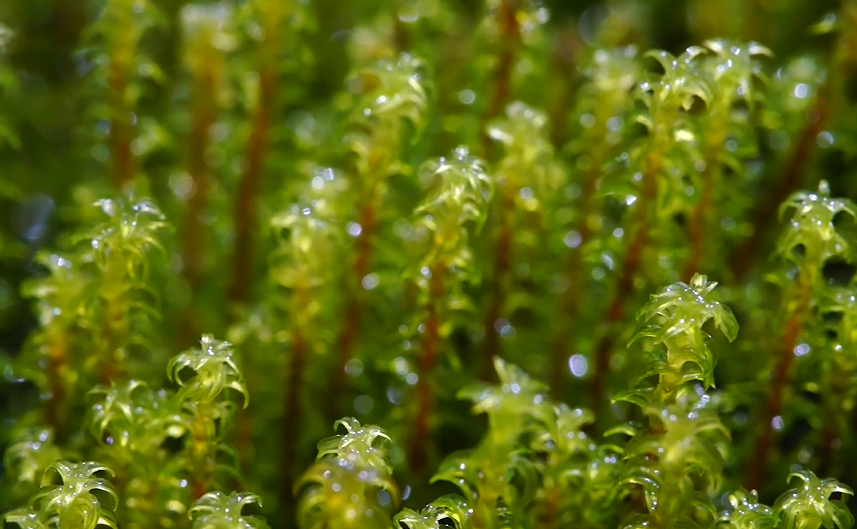 微信图片_20231122021701.png 微信图片_20231122021701.png