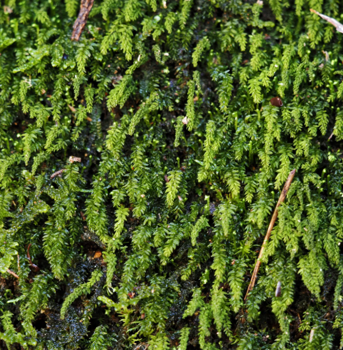 微信图片_20231122203040.png 微信图片_20231122203040.png