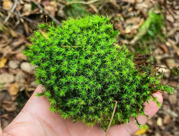 微信图片_20231122203155.png 微信图片_20231122203155.png