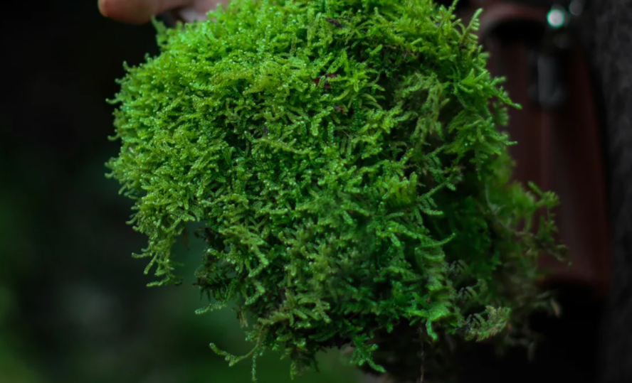 微信图片_20231122203522.png 微信图片_20231122203522.png