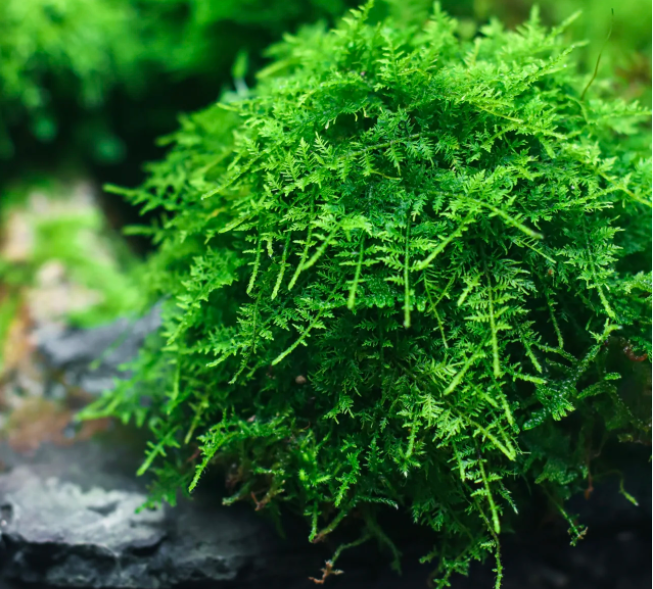 微信图片_20231122203655.png 微信图片_20231122203655.png