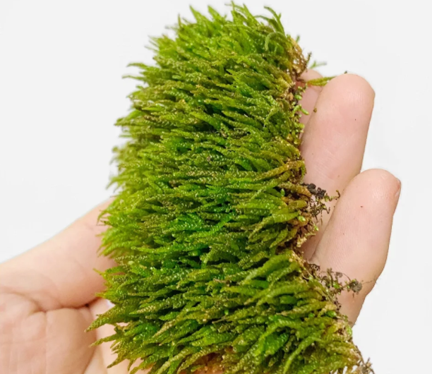 微信图片_20231122204021.png 微信图片_20231122204021.png