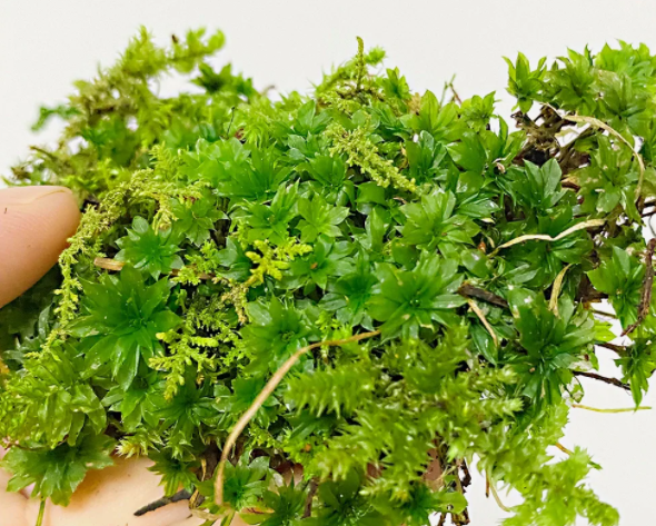 微信图片_20231122204108.png 微信图片_20231122204108.png