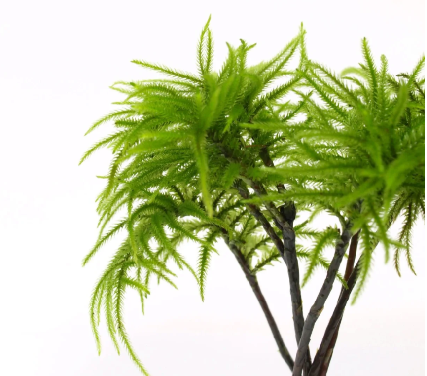 微信图片_20231122204633.png 微信图片_20231122204633.png