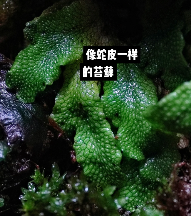 微信图片_20231122210049.png 微信图片_20231122210049.png