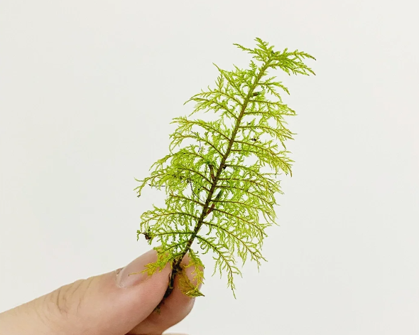 微信图片_20231122210436.png 微信图片_20231122210436.png