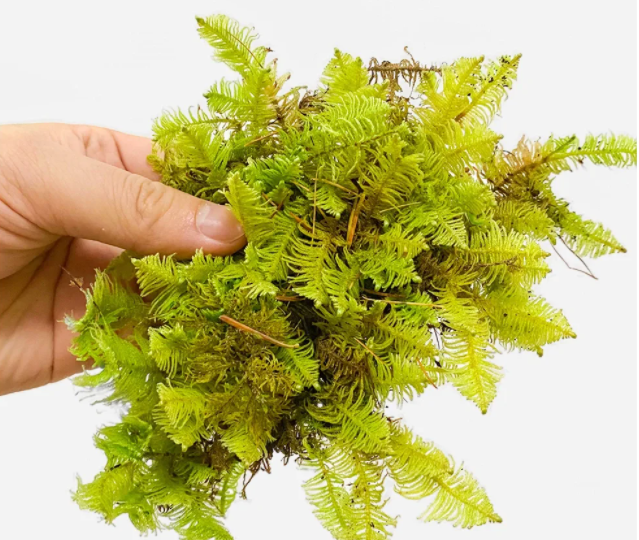 微信图片_20231122211034.png 微信图片_20231122211034.png