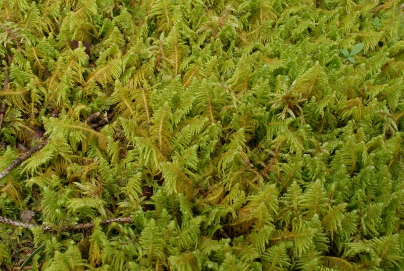 微信图片_20231122211119.png 微信图片_20231122211119.png