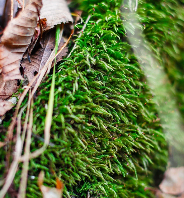 微信图片_20231122212150.png 微信图片_20231122212150.png