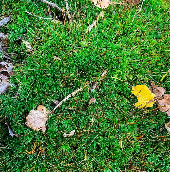 微信图片_20231122214107.png 微信图片_20231122214107.png