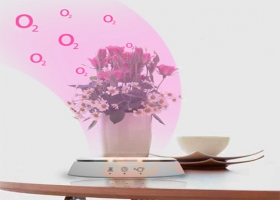 BECAUSE I LIKE FRESH AIR